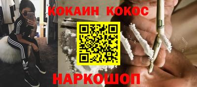 jwh Кингисепп