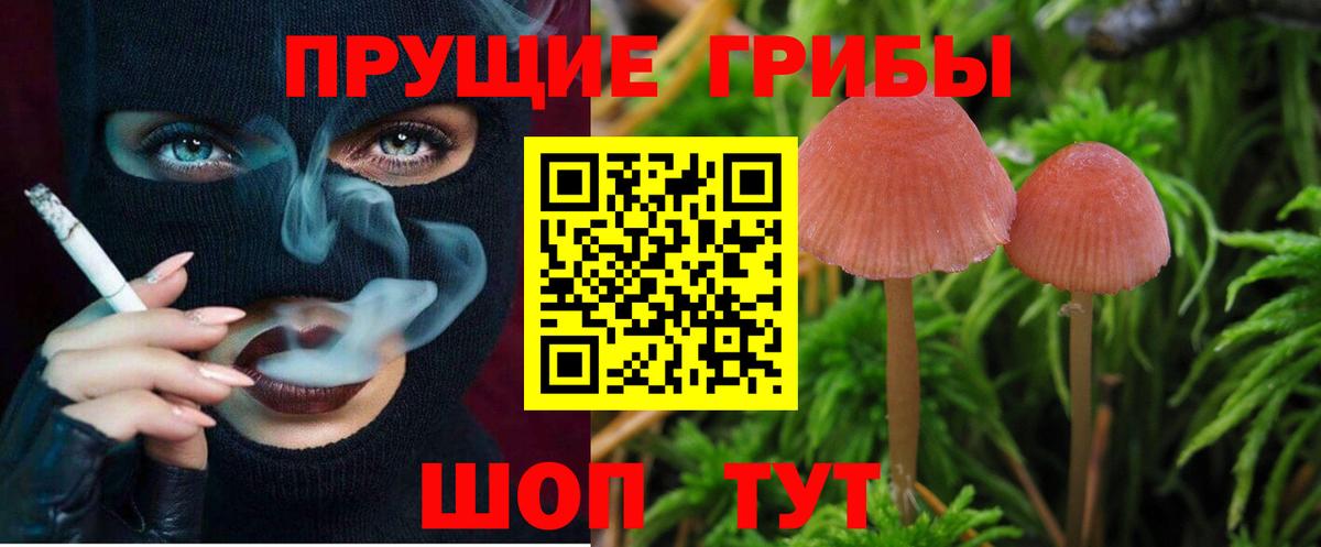 Красноярск  Галлюциногенные грибы Magic Shrooms  Вход с VPN  Галлюциногенные грибы GOLDEN TEACHER 
